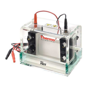 Thermo Fisher Scientific OWL P8DS-vertikalni sistem za elektroforezu