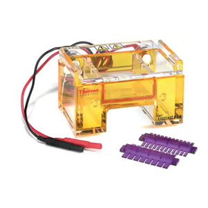 Thermo Fisher Scientific Owl™ EasyCast™ B1A-sistem za horizontalnu elektroforezu